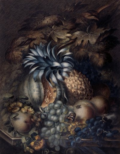 Studie van fruit door Mary Bradley